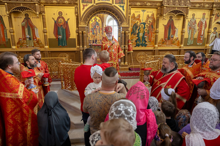 Память священноисповедника Феодосия (Ганицкого) и собора Коломенских новомучеников в Коломне