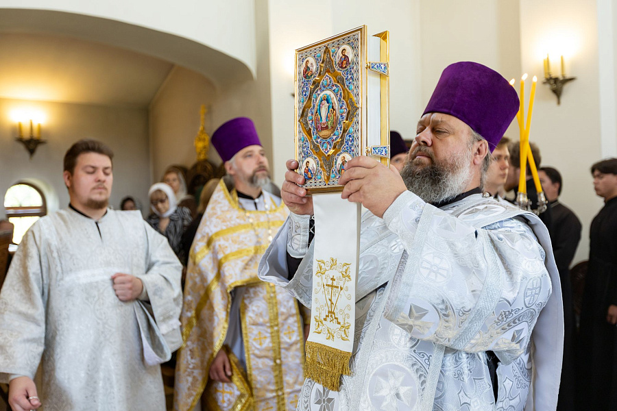Архипастырское посещение храма святителя Василия Рязанского села Протекино Зарайского городского округа